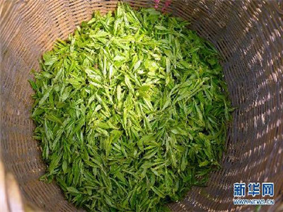 明前西湖龙井价格