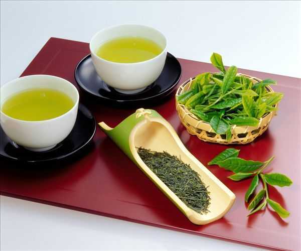 西湖龙井多少