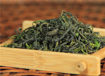 御梅西湖龙井新茶