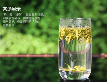 西湖龙井的具体产地
