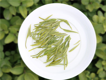 中国杭州西湖龙井茶