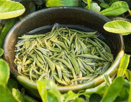 西湖龙井绿茶