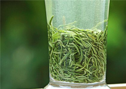 西湖龙井秋茶