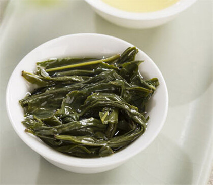 西湖龙井老茶树