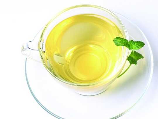 绿茶什么茶叶好