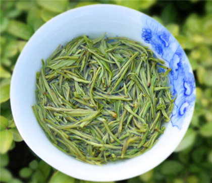 西湖龙井茶功能