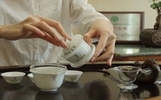 什么品牌绿茶好