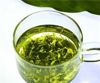 绿茶什么品牌好