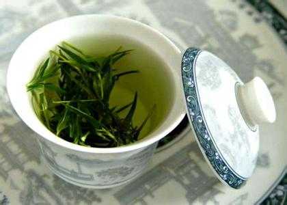 什么绿茶品牌