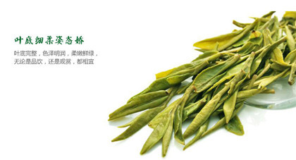 西湖龙井茶