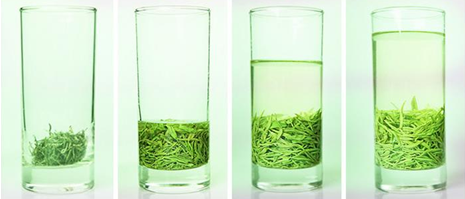 绿茶冲泡方法