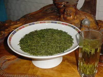 绿茶什么牌子