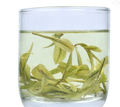 什么牌子的绿茶好